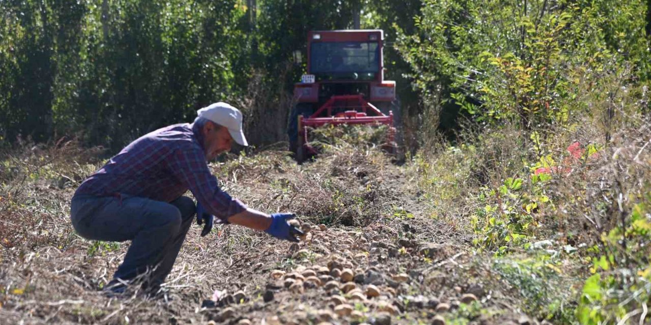 Selçuklu Belediyesi tarımsal üretime katkı sağlamaya devam ediyor