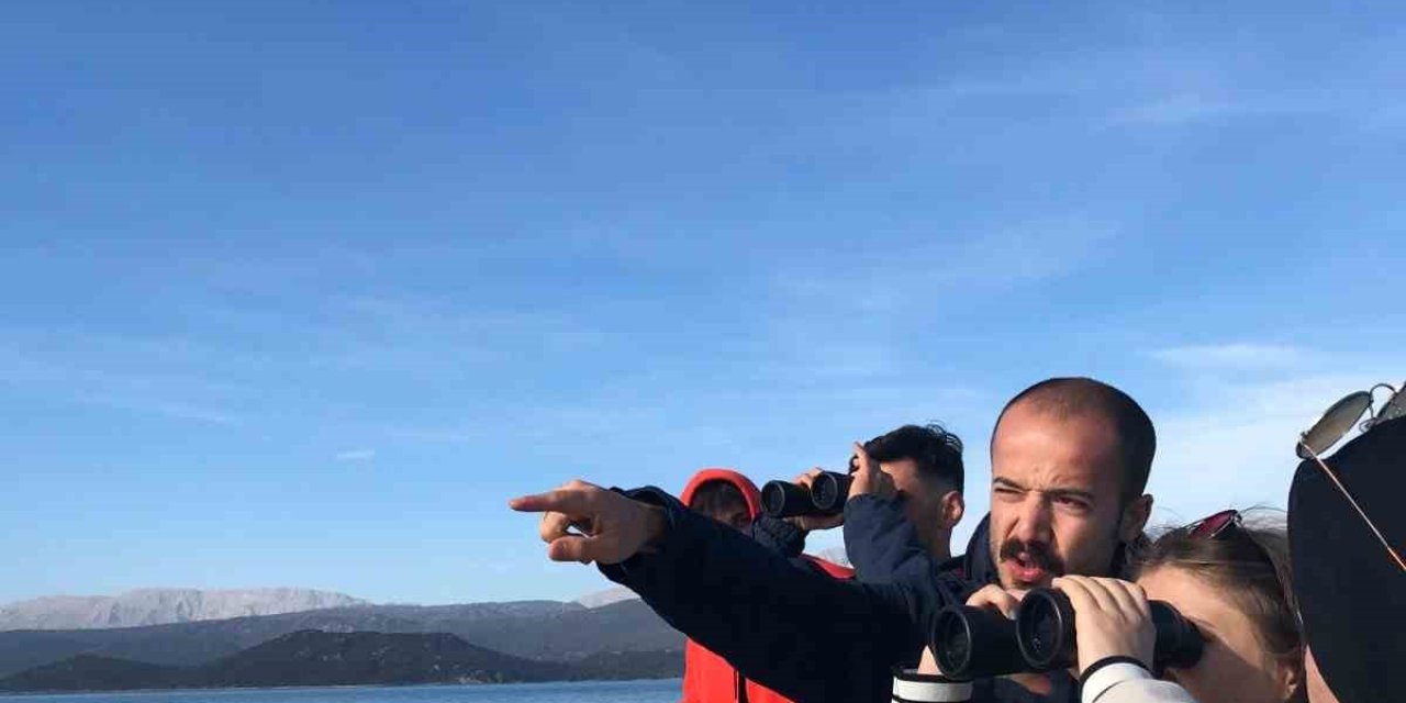 Beyşehir Gölü’ndeki adada kuş gözlem etkinliği