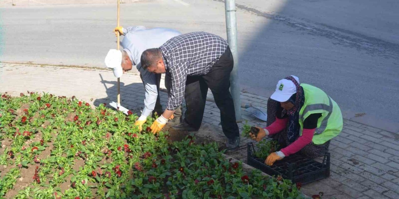 Ereğli Belediyesi çevre düzenleme çalışmalarını sürdürüyor