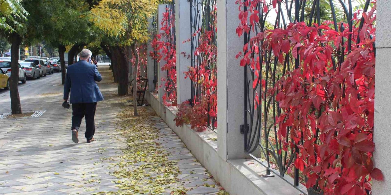 Eskişehir’de renkli yaprakların uyumlu görüntüsü dikkat çekiyor