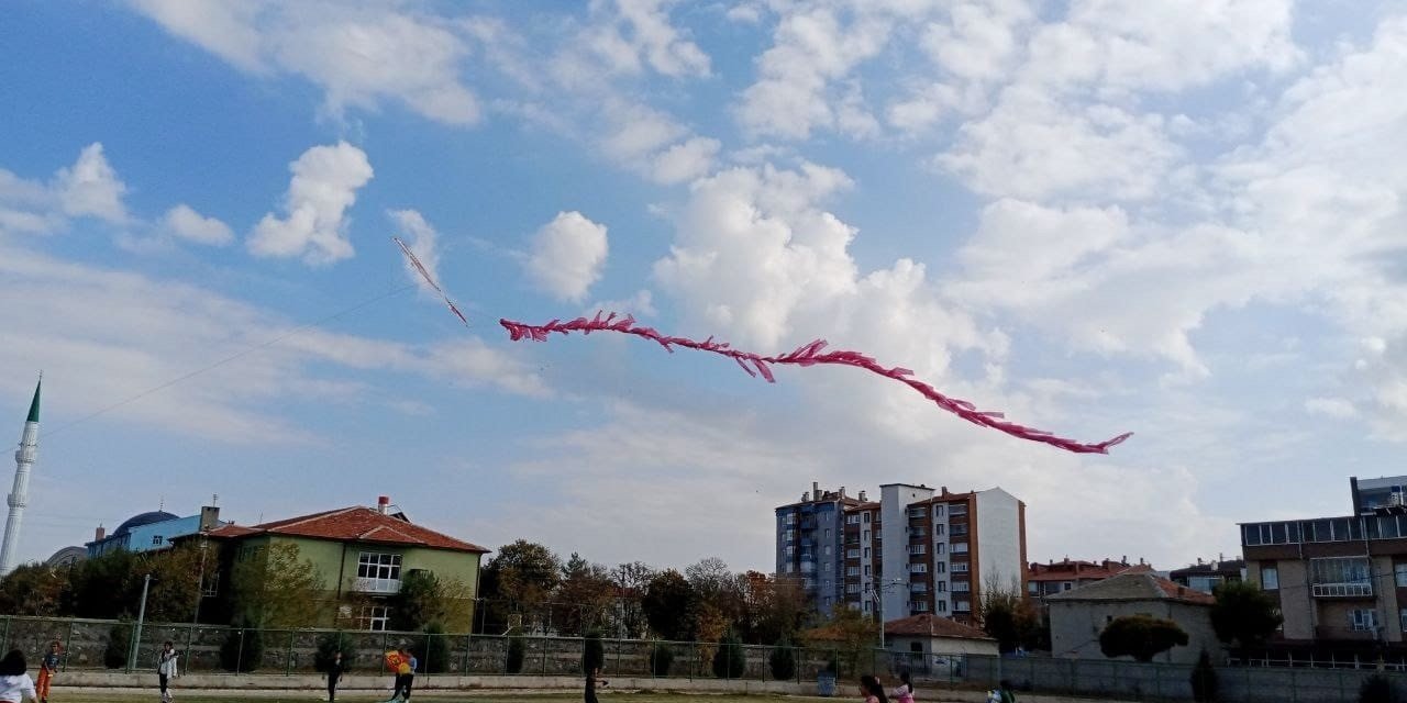Karapınar’da uçurtma şenliği düzenlendi