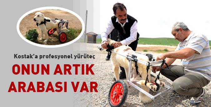 Kostak’a profesyonel yürüteç