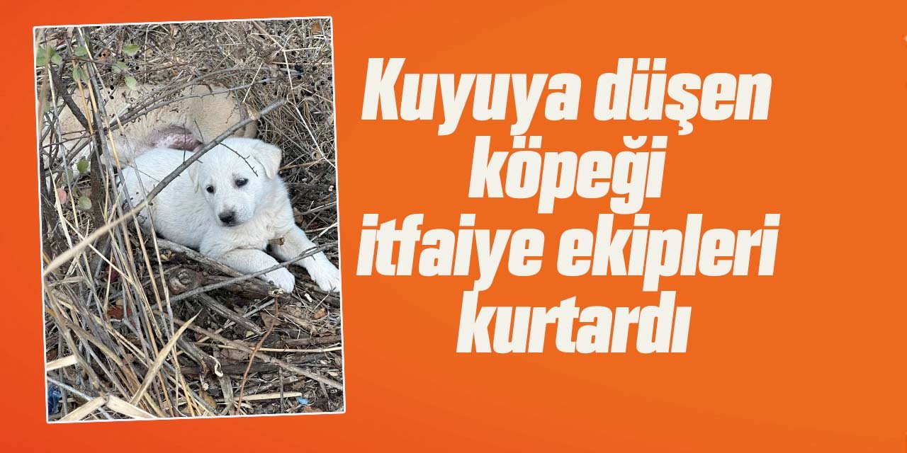 Kırıkkale'de kuyuya düşen köpeği itfaiye ekipleri kurtardı