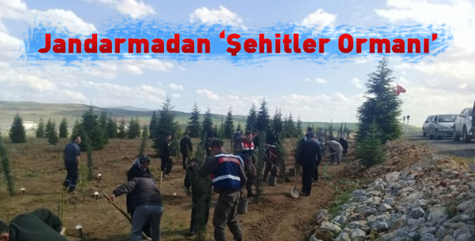 'Şehitler Ormanı'