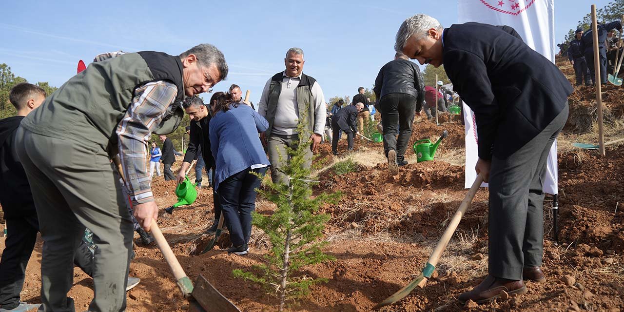 Kırıkkale'de Cumhuriyet Ormanı oluşturuldu