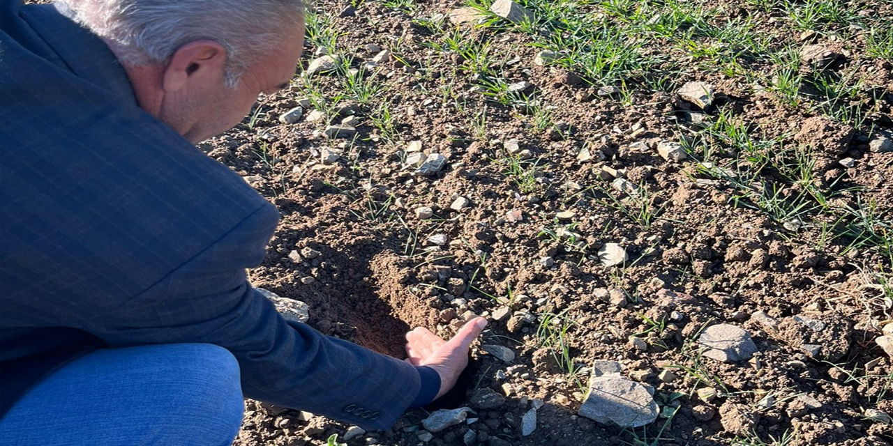 Kırıkkale'de tarlalar kontrol edildi