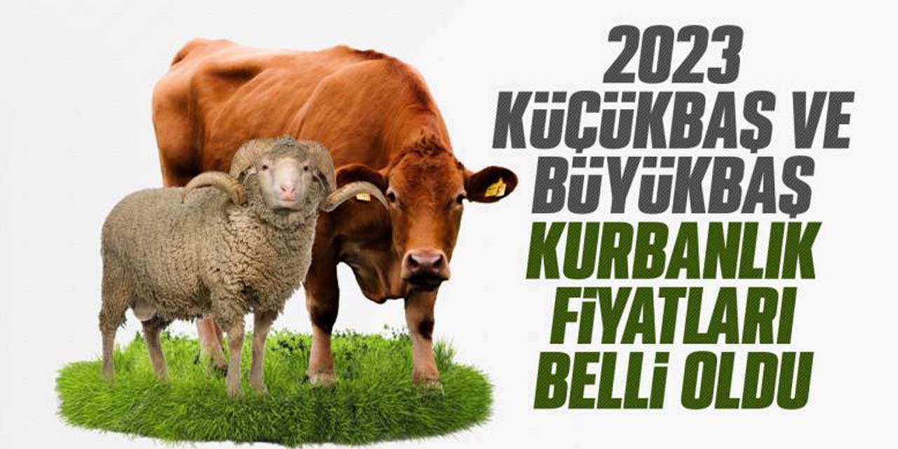 Kurban Bayramı ne zaman? 2023 kurbanlık fiyatları ne kadar?