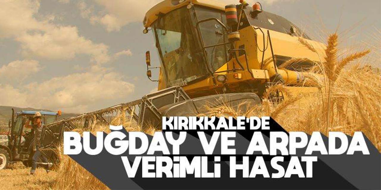 Buğday ve arpada verimli hasat