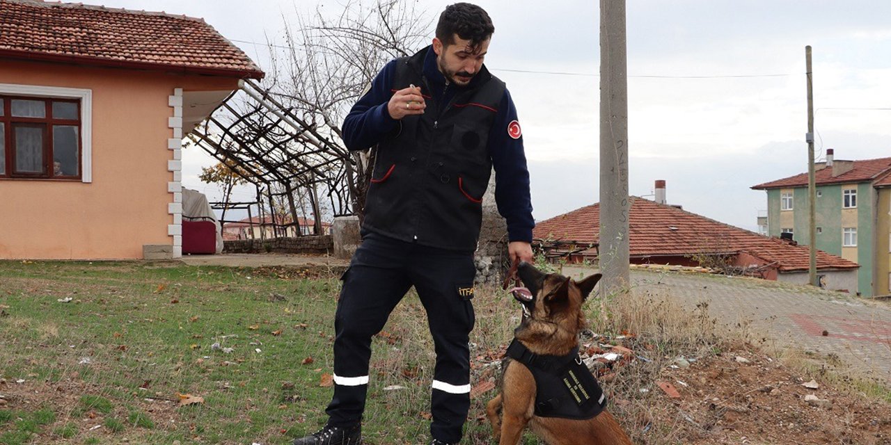 Arama kurtarma köpeği İGLO göreve hazır