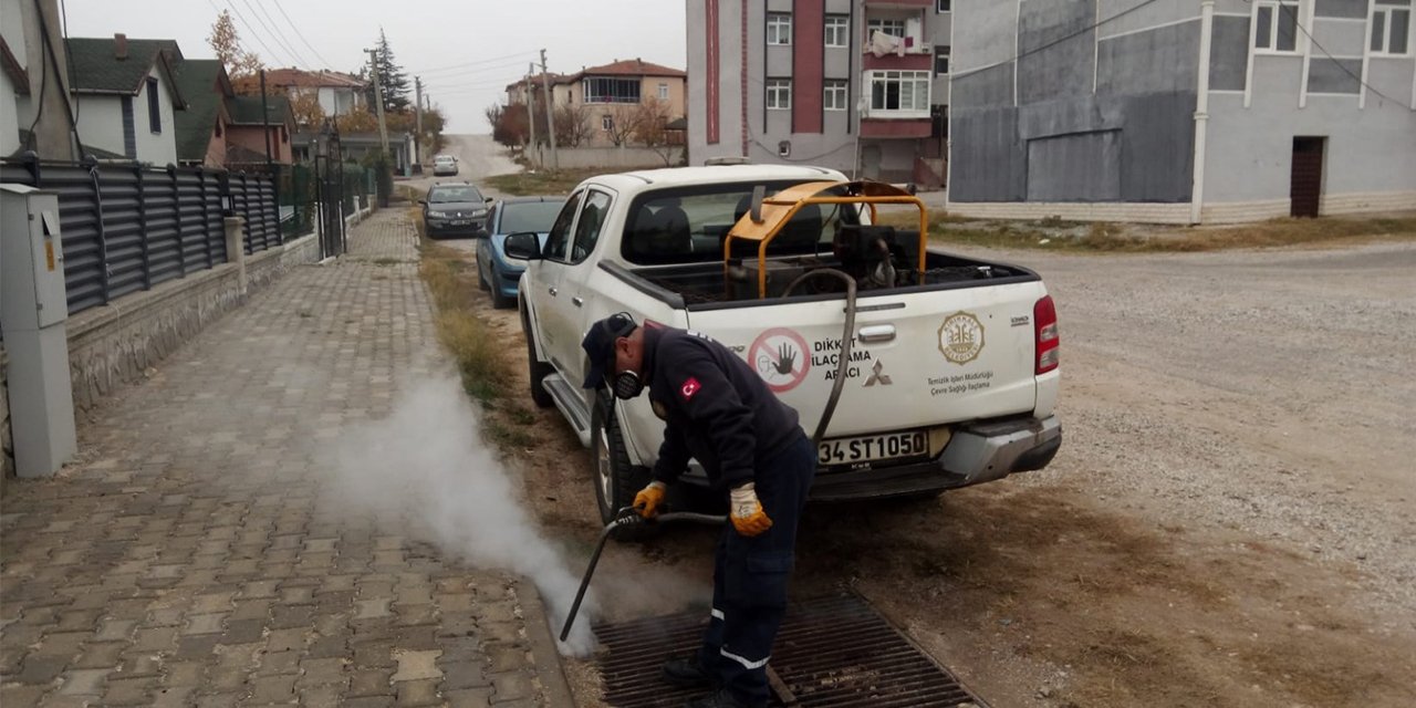 Haşerelere karşı kışlak mücadele çalışmalarını sürdürüyor