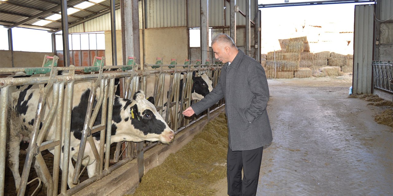 Kırıkkale'de yüzde 50 hibe ile süt işletmesi kuruldu