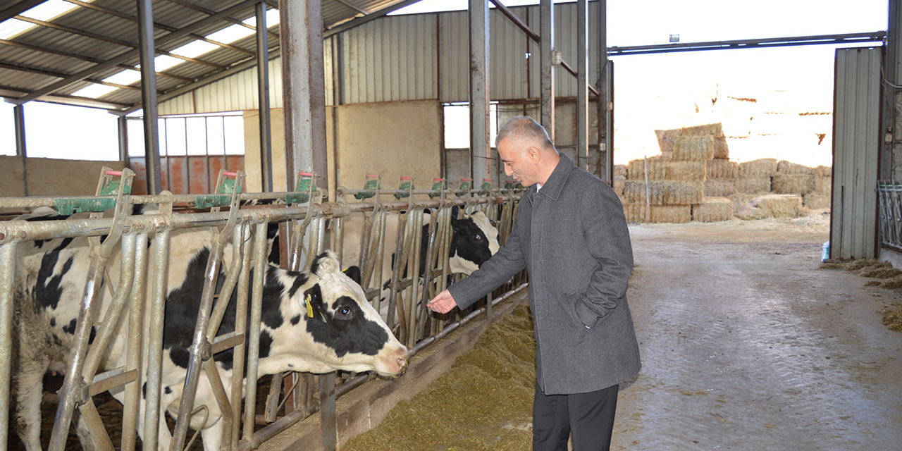 810 bin 220 ton inek sütü toplandı