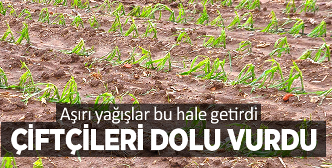 Tarım arazilerini dolu vurdu