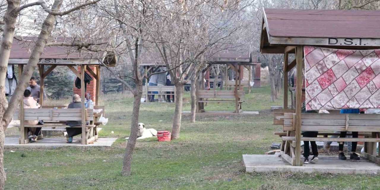 Şubat ortasında ilkbahar gibi piknik keyfi yaptılar