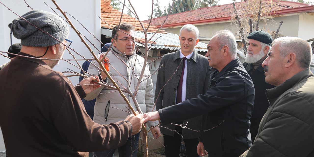 Üreticilere budama eğitimi verildi