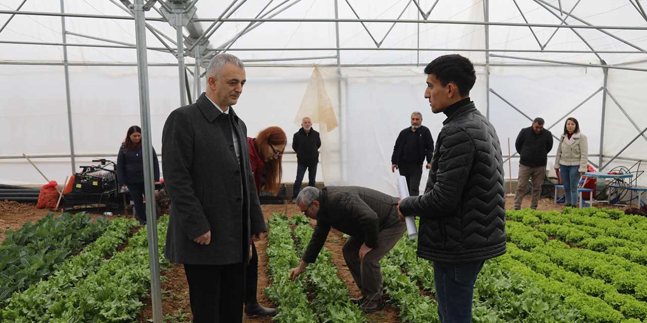 Seralarda ilk hasat yapıldı