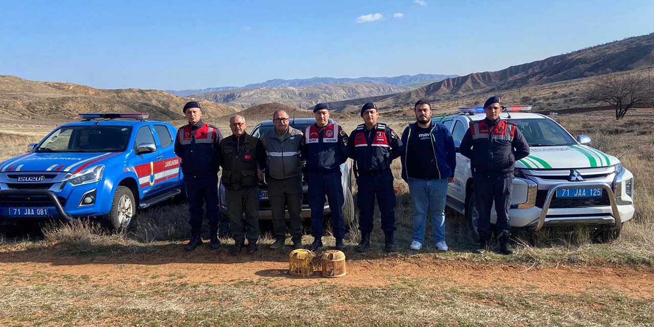 Tuzak avı yapan şahıs yakalandı!