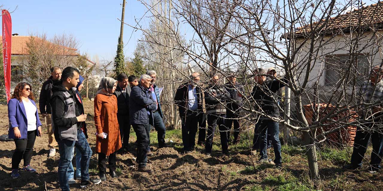 Çiftçilere budama eğitimi verildi