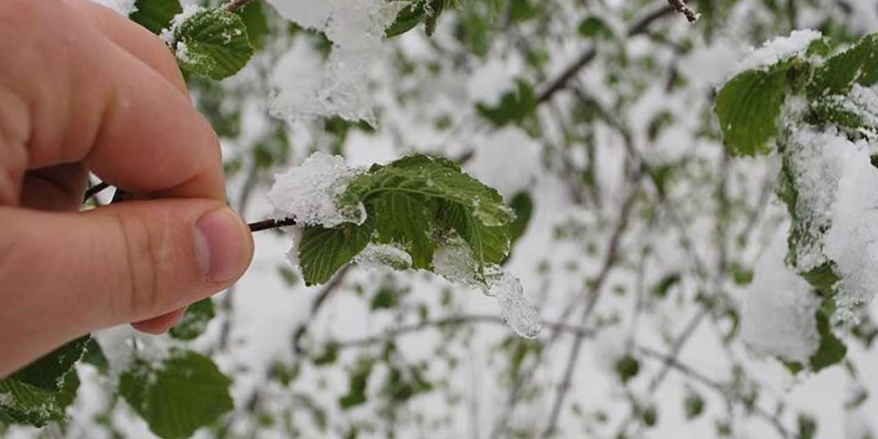 Çiftçilere zirai don uyarısı