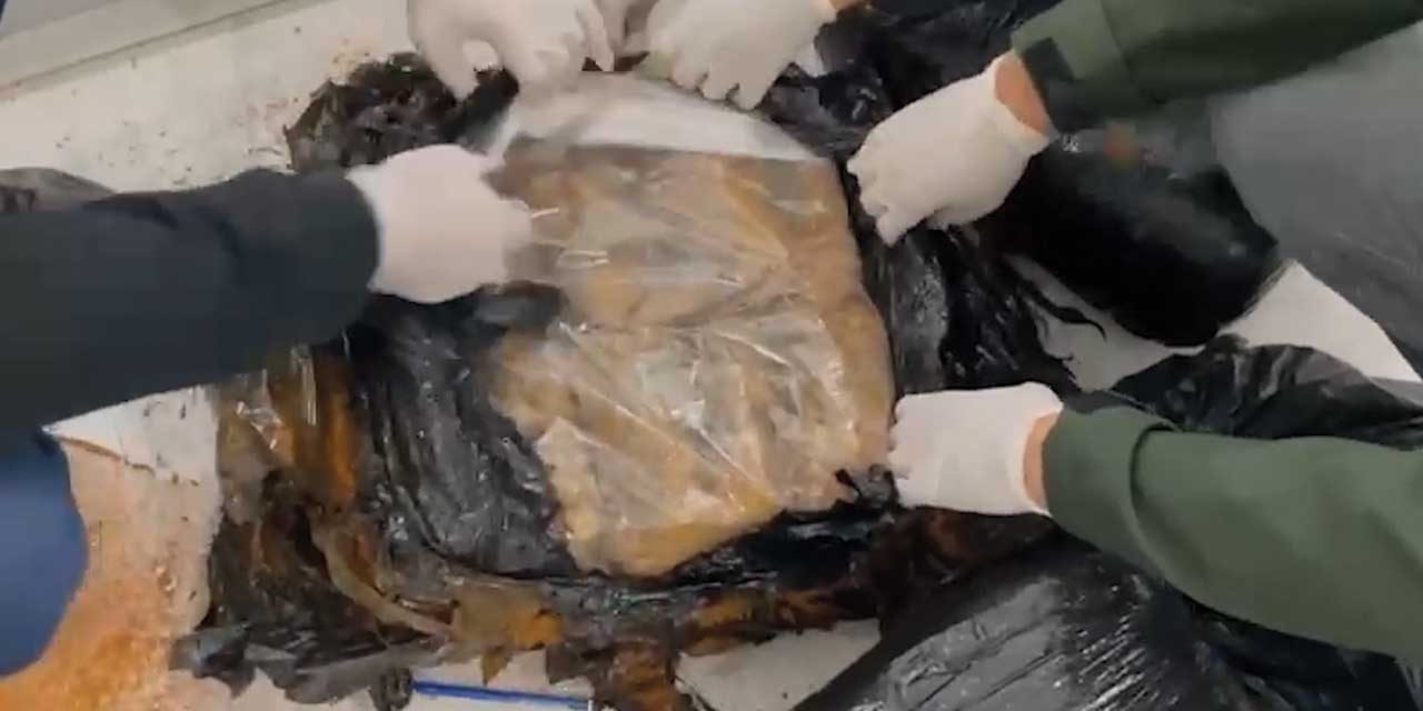 Yolcu otobüsünde 23 kilo 794 gram skunk ele geçirildi