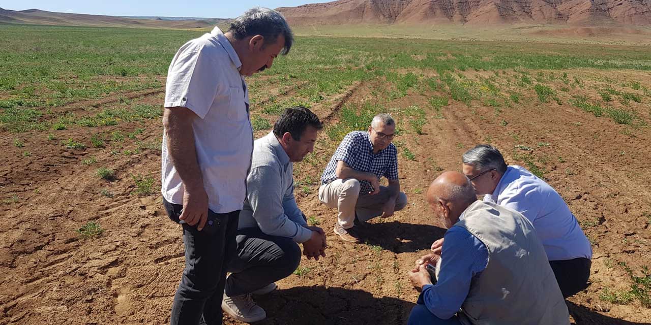 Köylerde meralar ıslah ediliyor