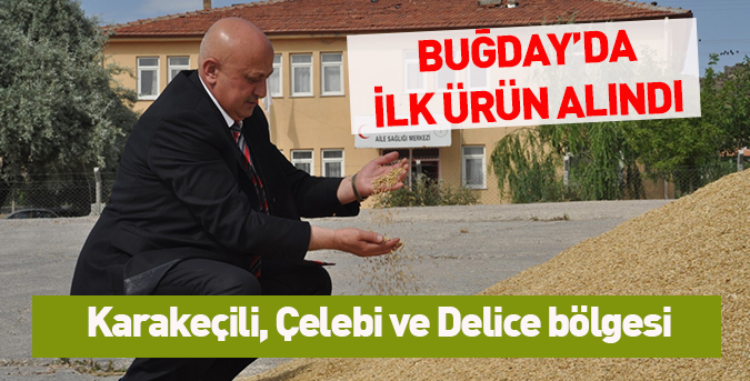 Buğday hasadı başladı