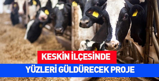 11 vatandaşa süt ineği