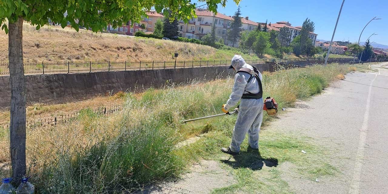 Kırıkkale’de yabani otlarla mücadele ediliyor