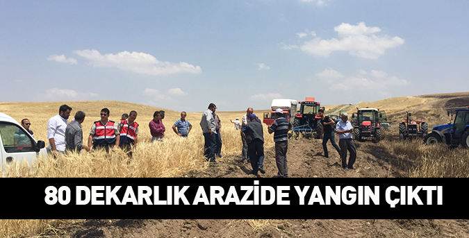 80 dekarlık arazi yandı