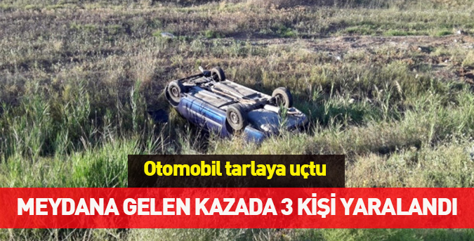 Tarlaya uçan otomobilde 3 kişi yaralandı