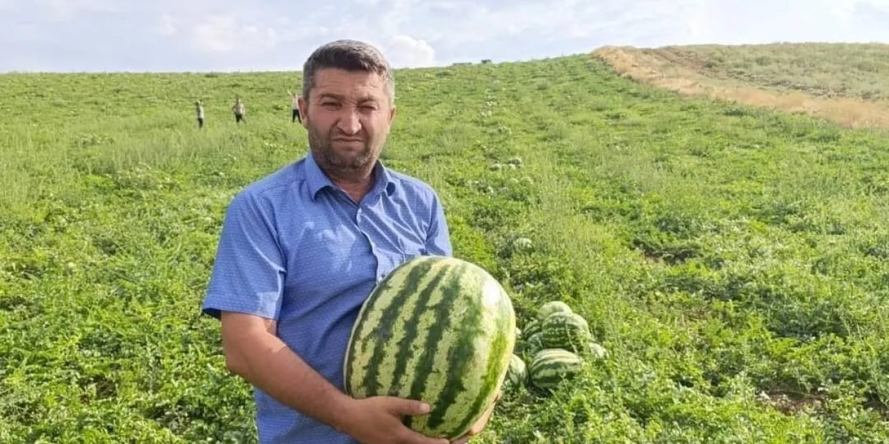 Fahiş fiyatlara inat bu karpuzların kilosu 5 TL