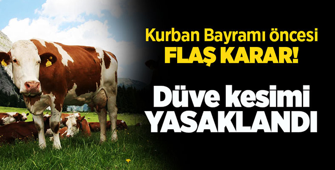 Düve yasağı yerinde bir karar