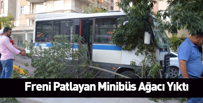 Freni Patlayan Minibüs Ağacı Yıktı