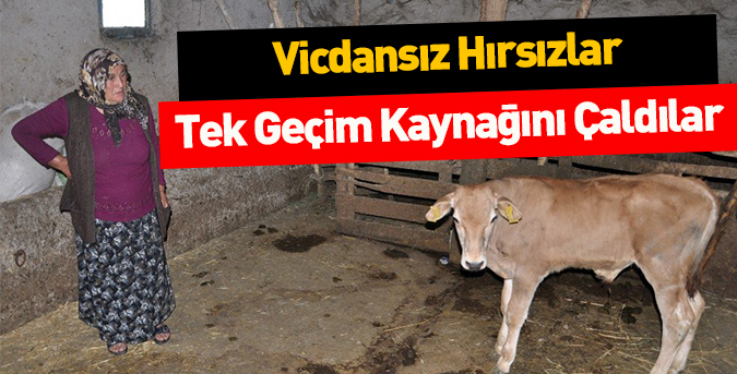 Vicdansız hırsızlar!