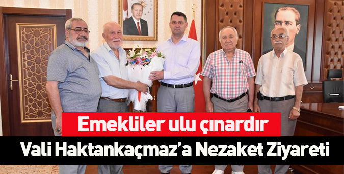 Emekliler ulu çınardır