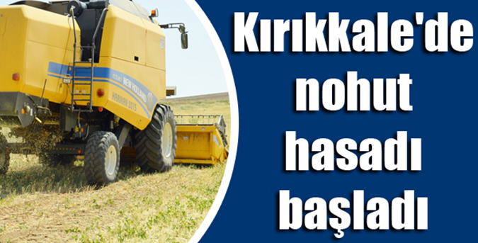 Nohut hasadı başladı