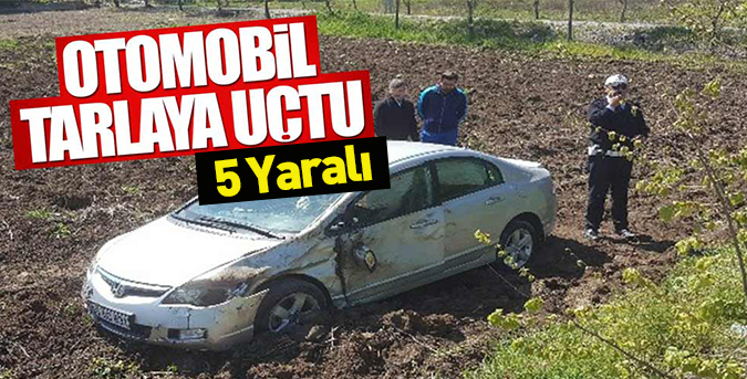Otomobil tarlaya uçtu