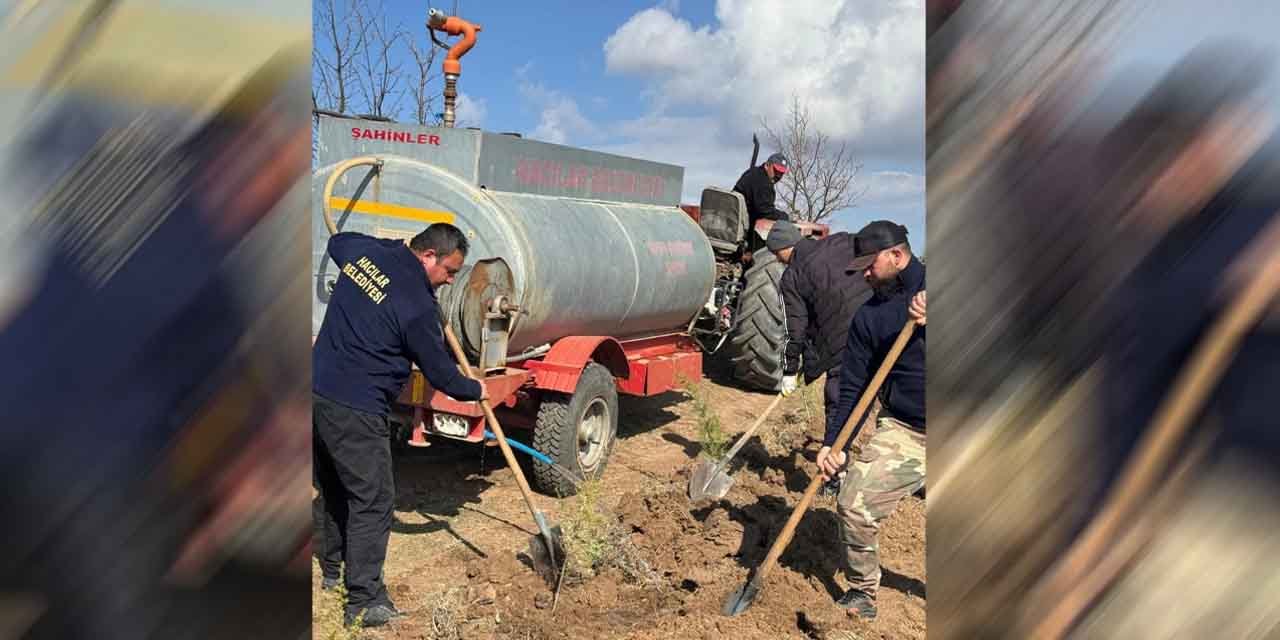 Hacılar Kasabası’nda ağaçlandırma seferberliği