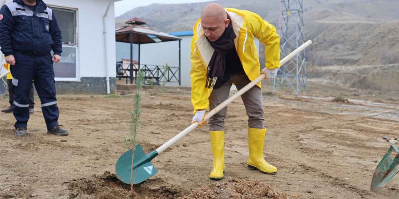 Kırıkkale’de 25 bin fidan ücretsiz dağıtılacak