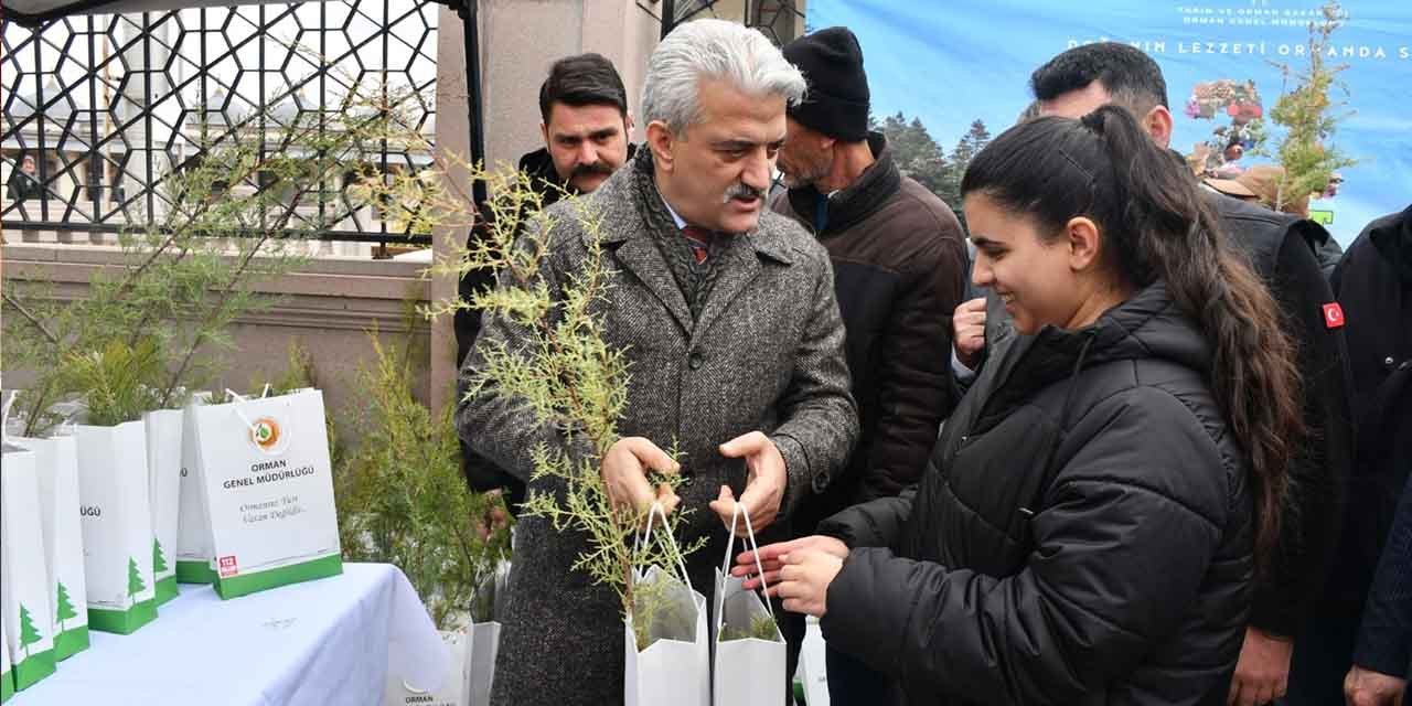 Ormanlar, doğanın ve hayatın kalbidir