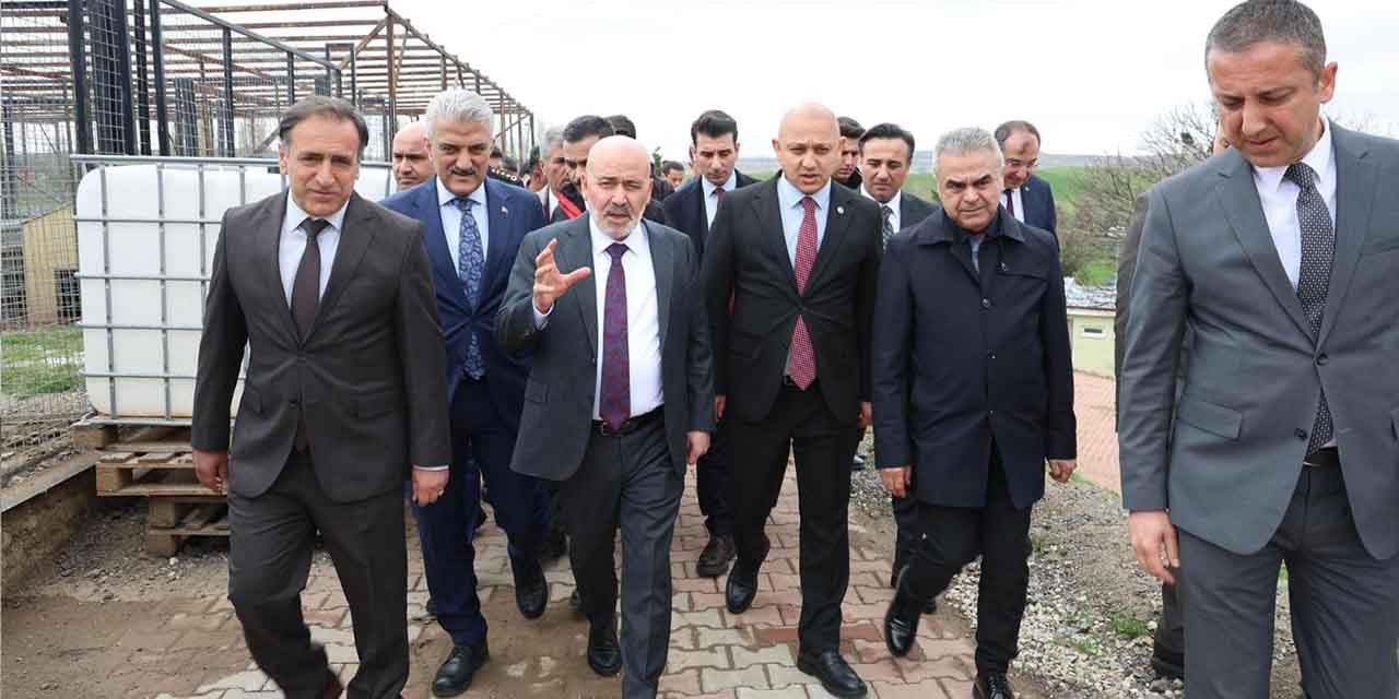 Sokak hayvanları için modern merkez yapılıyor