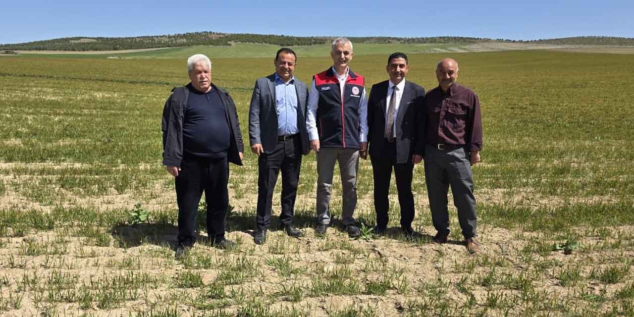 Keskin’de zirai don için incelemeler yapıldı