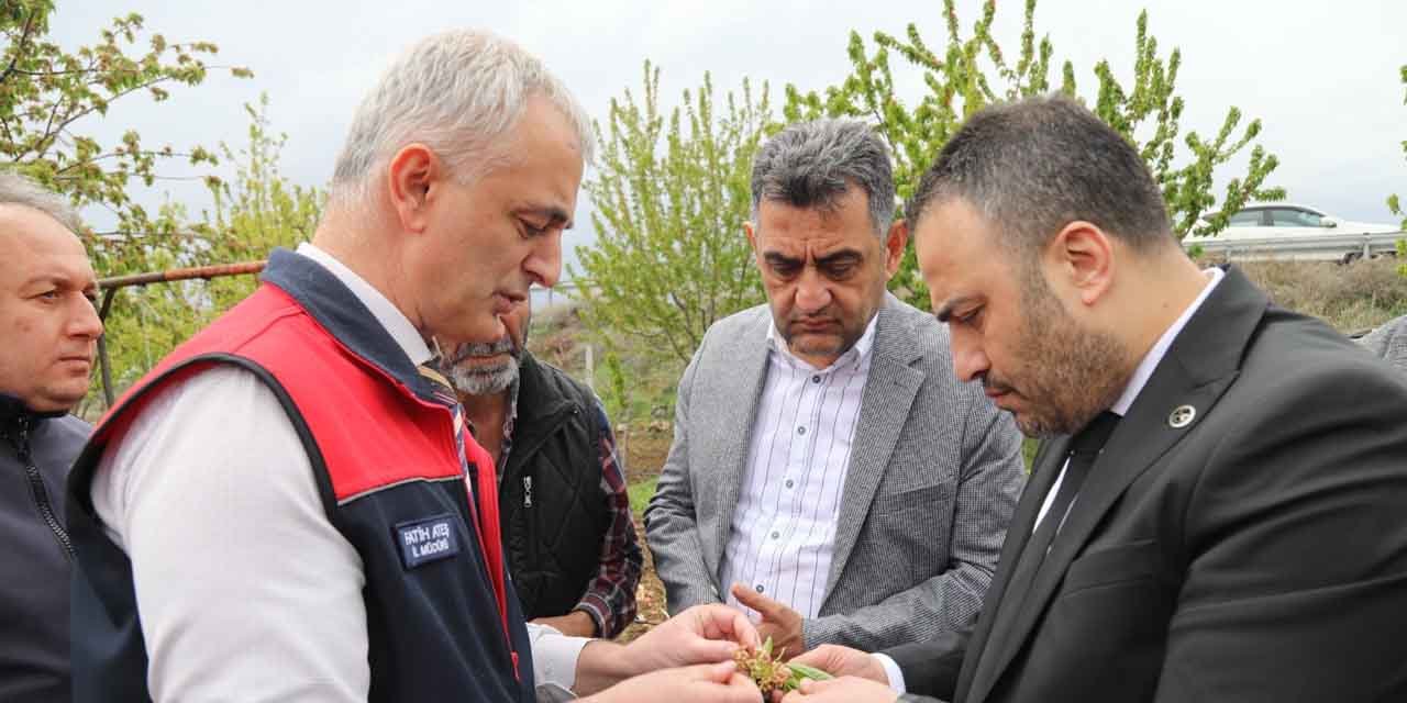 Cumhur İttifakı zira don olaylarını yerinde inceledi