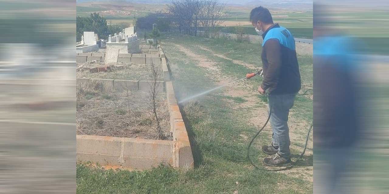 Keskin'de yabani otlar temizleniyor