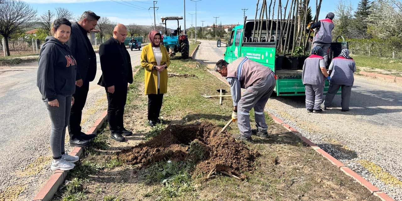 Park ve bahçelerin sorunları gideriliyor