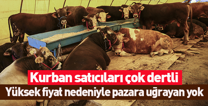 Kurban pazarı boş kaldı
