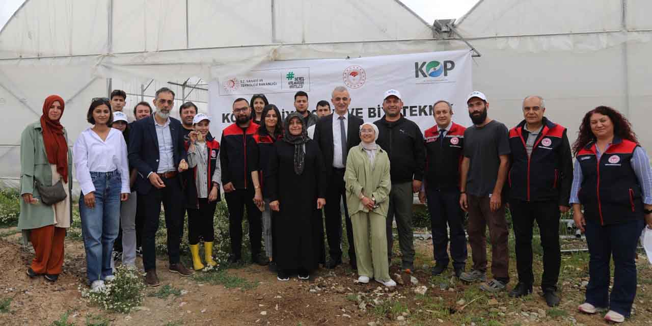 Seraları artık böcekler koruyacak