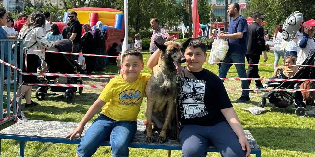 Çocuklar Hera ve İglo’yu çok sevdi