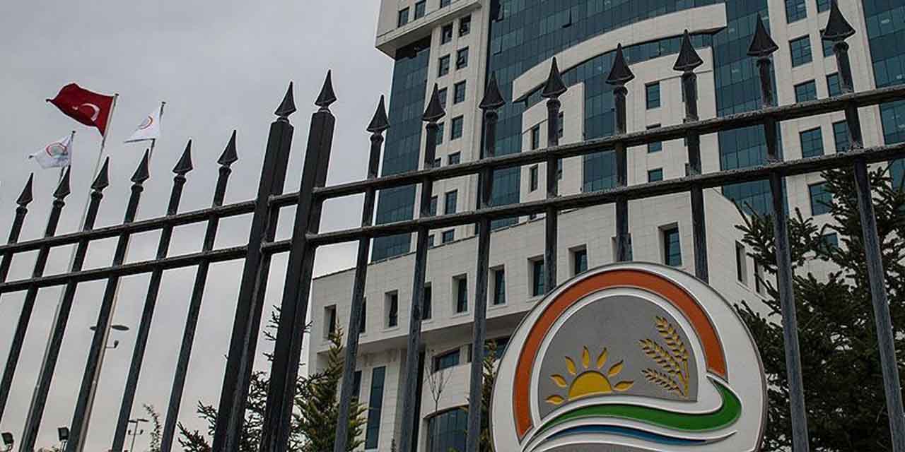 Tarım ve Orman Bakanlığı yeni personel alacak!