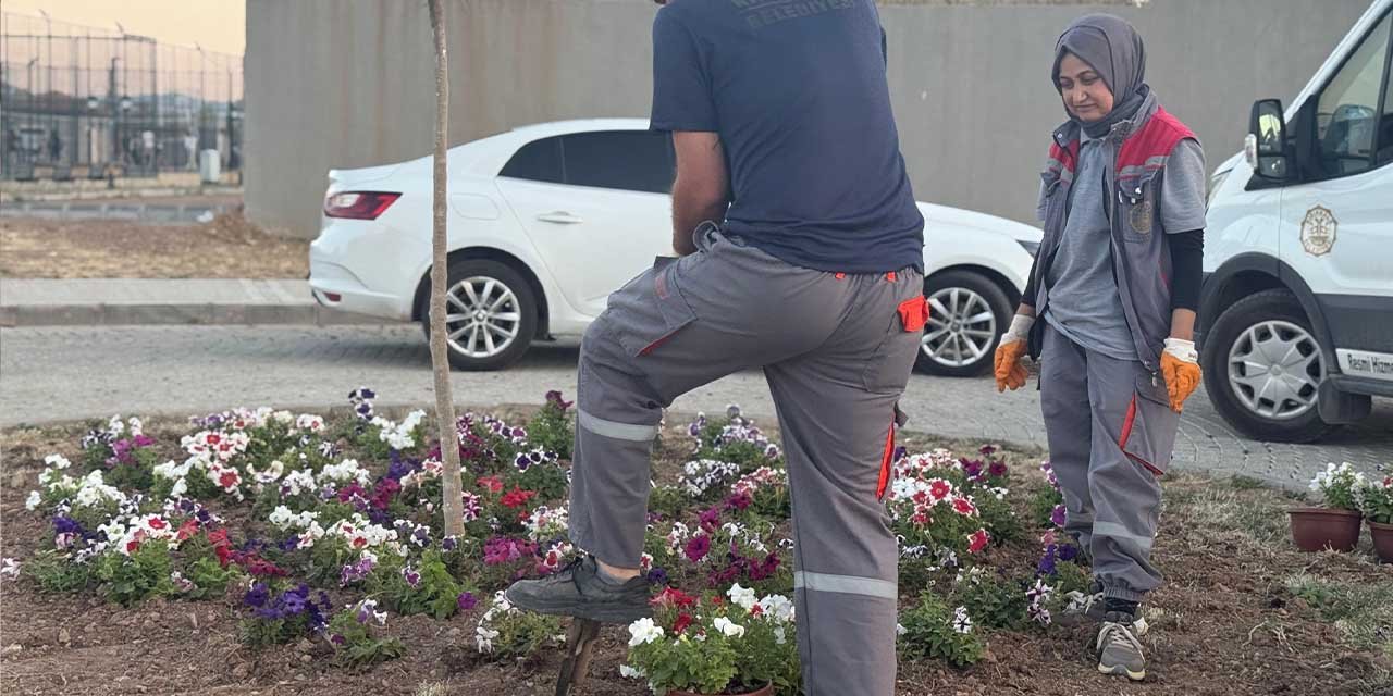 Millet Bahçesi’nde bakım çalışması yapılıyor